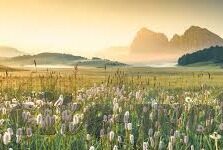 mk体育在线登录入口-MK体育在线登录全攻略 - 打造畅通无阻的观赛体验