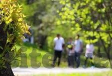 微信群炸金花一毛一分-微信群炸金花一毛一分，娱乐与规则的微妙平衡